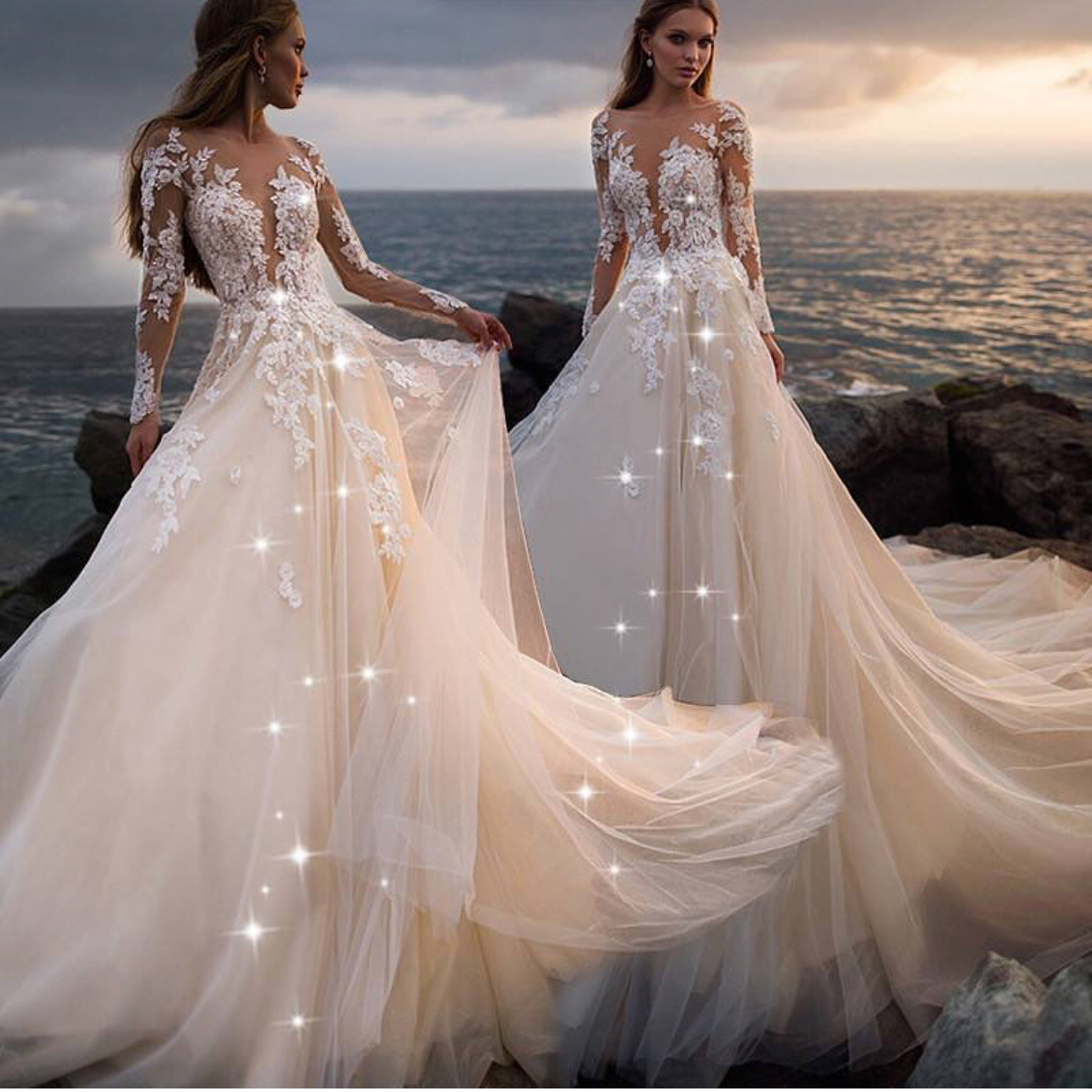 Light  Champagne Wedding  Dress  Lace Applique Wedding  Dress  